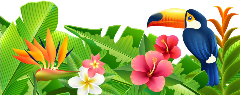 Peisaj tropical de vară în paradis Fundal