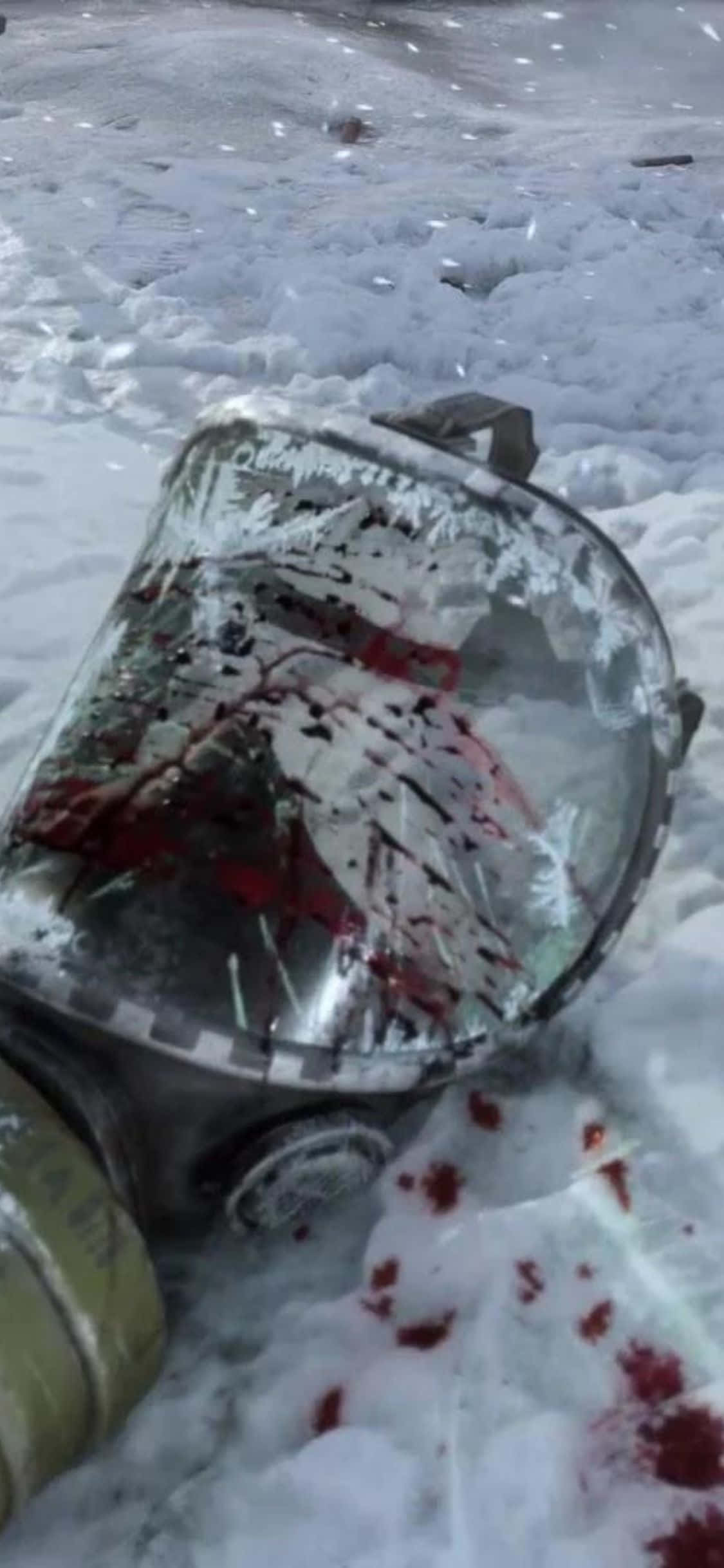 Peisajul Luxuriant Post-Apocaliptic din Metro Exodus Fundal