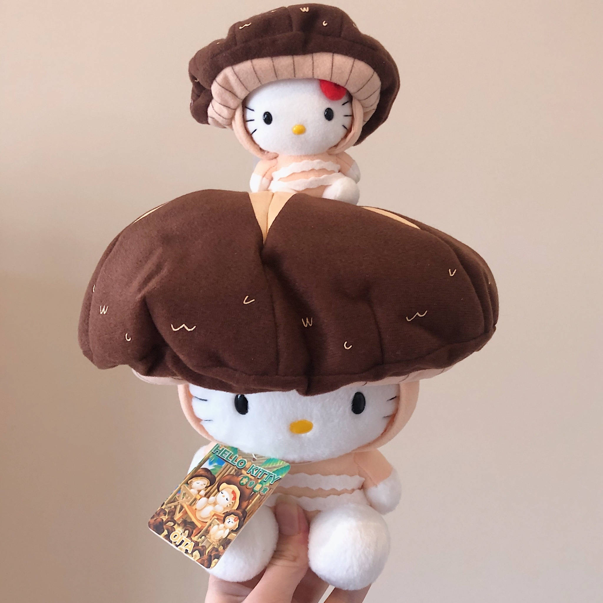 Pelușe Ciuperci Hello Kitty PFP Fundal