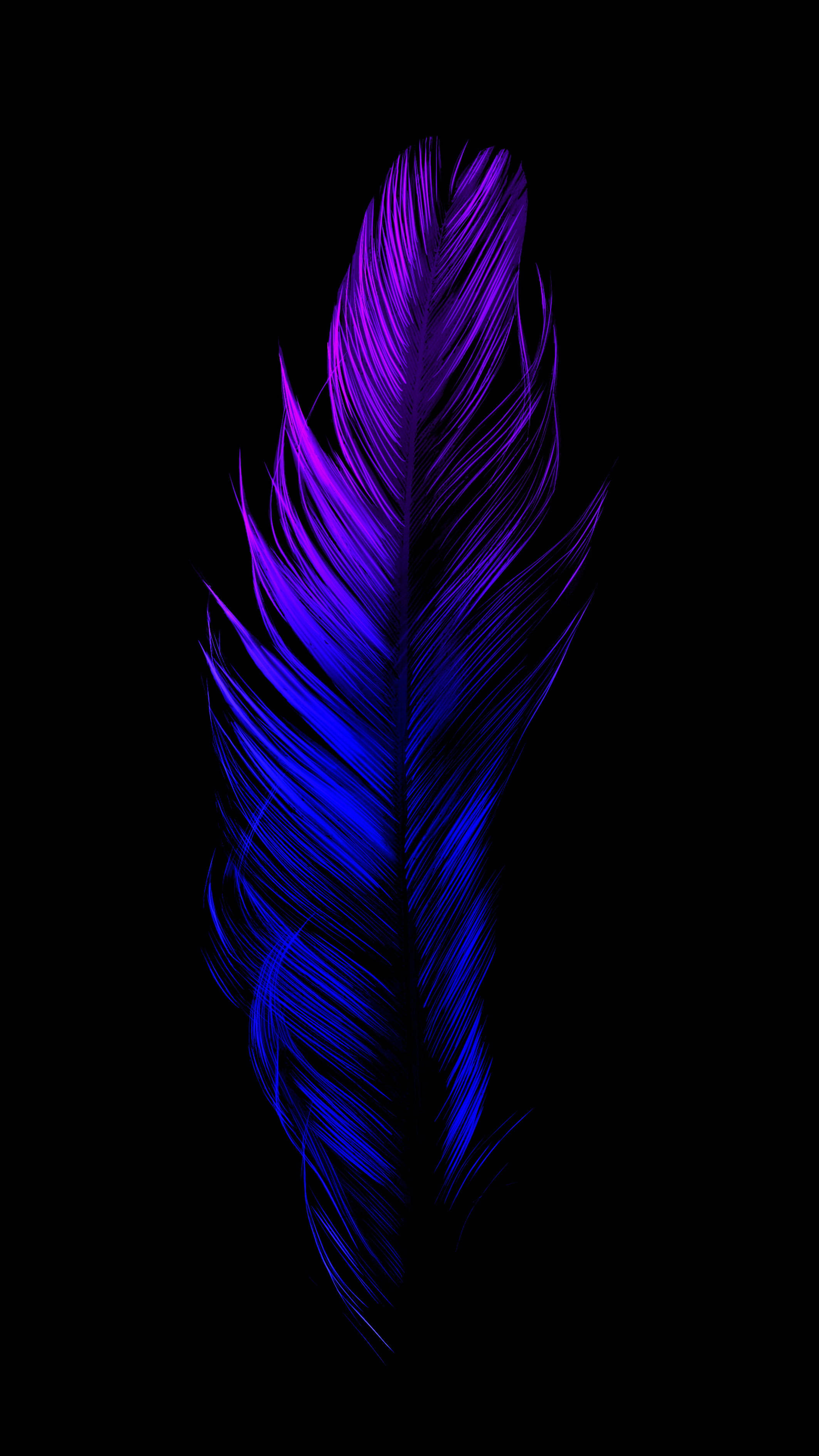 Pene Neon Estetice Albastru Închis HD Fundal