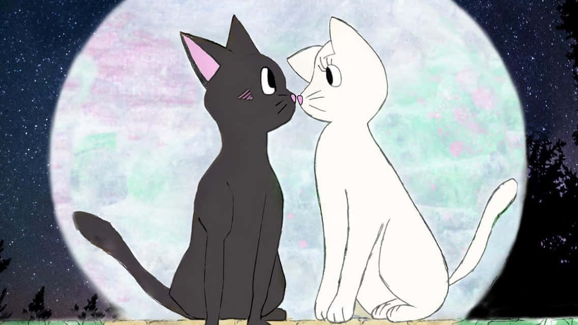 Pereche pisici Sailor Moon Fundal