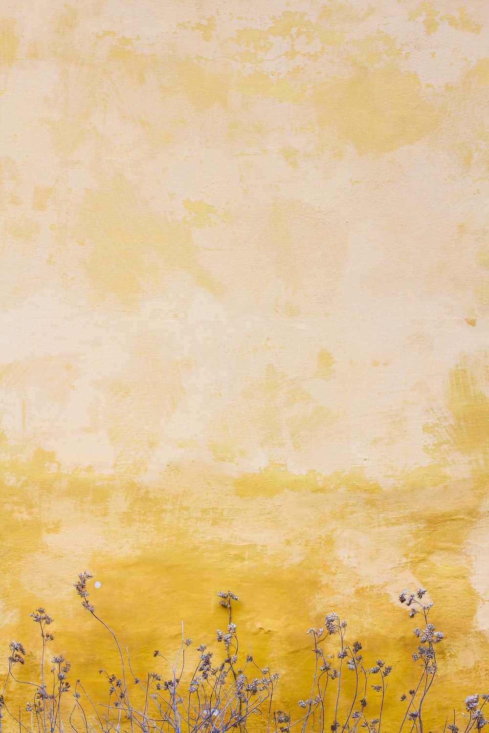 Perete decolorat galben pastel drăgut Fundal