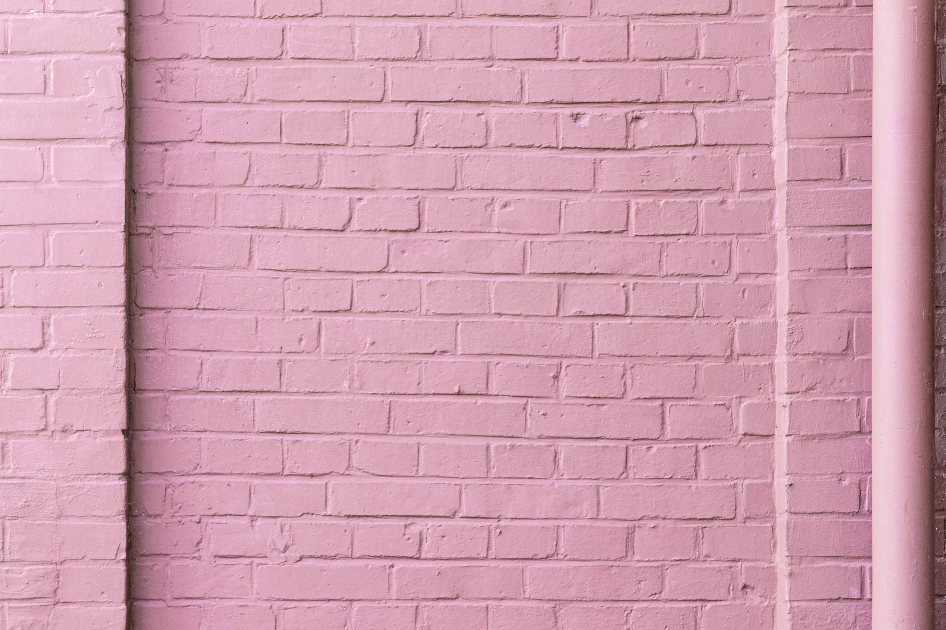 Peretel de cărămizi roz pastel Fundal