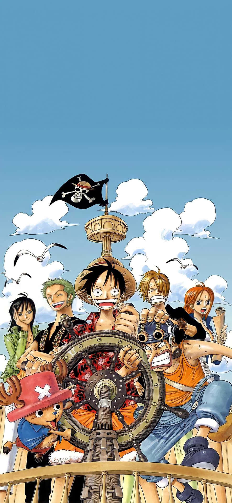 Imagini One Piece — One Piece Fundal