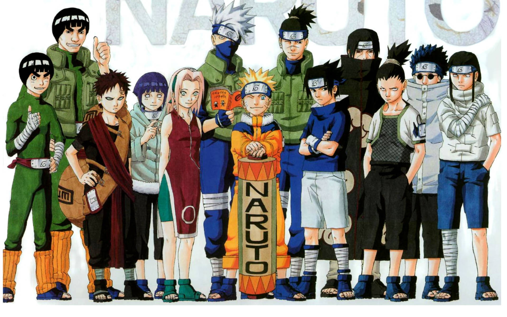 Personajele Naruto: Profesori și Elevi Fundal