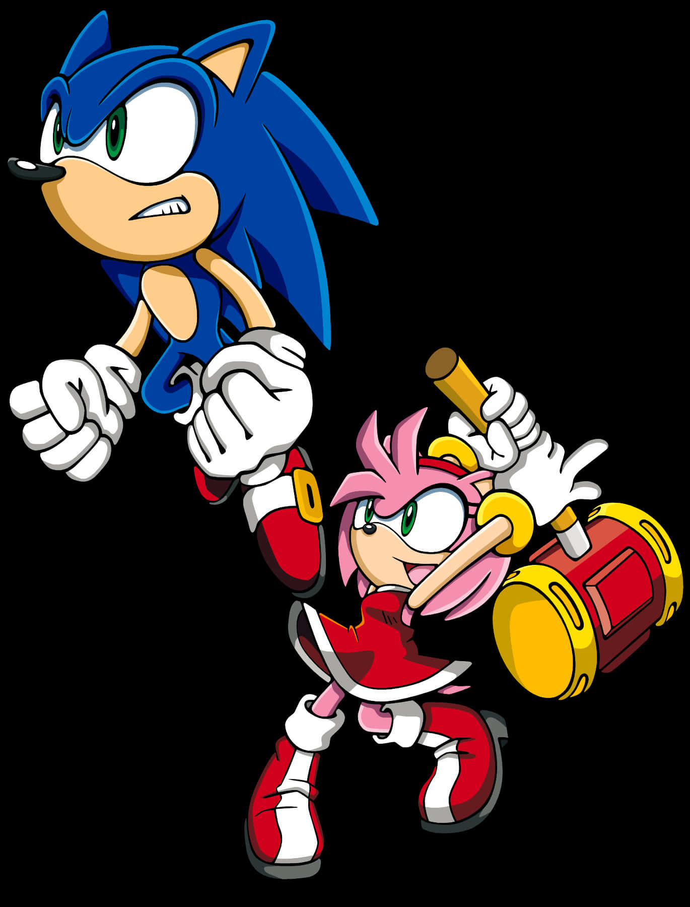 Personajele Sonic și Amy Rose Fundal
