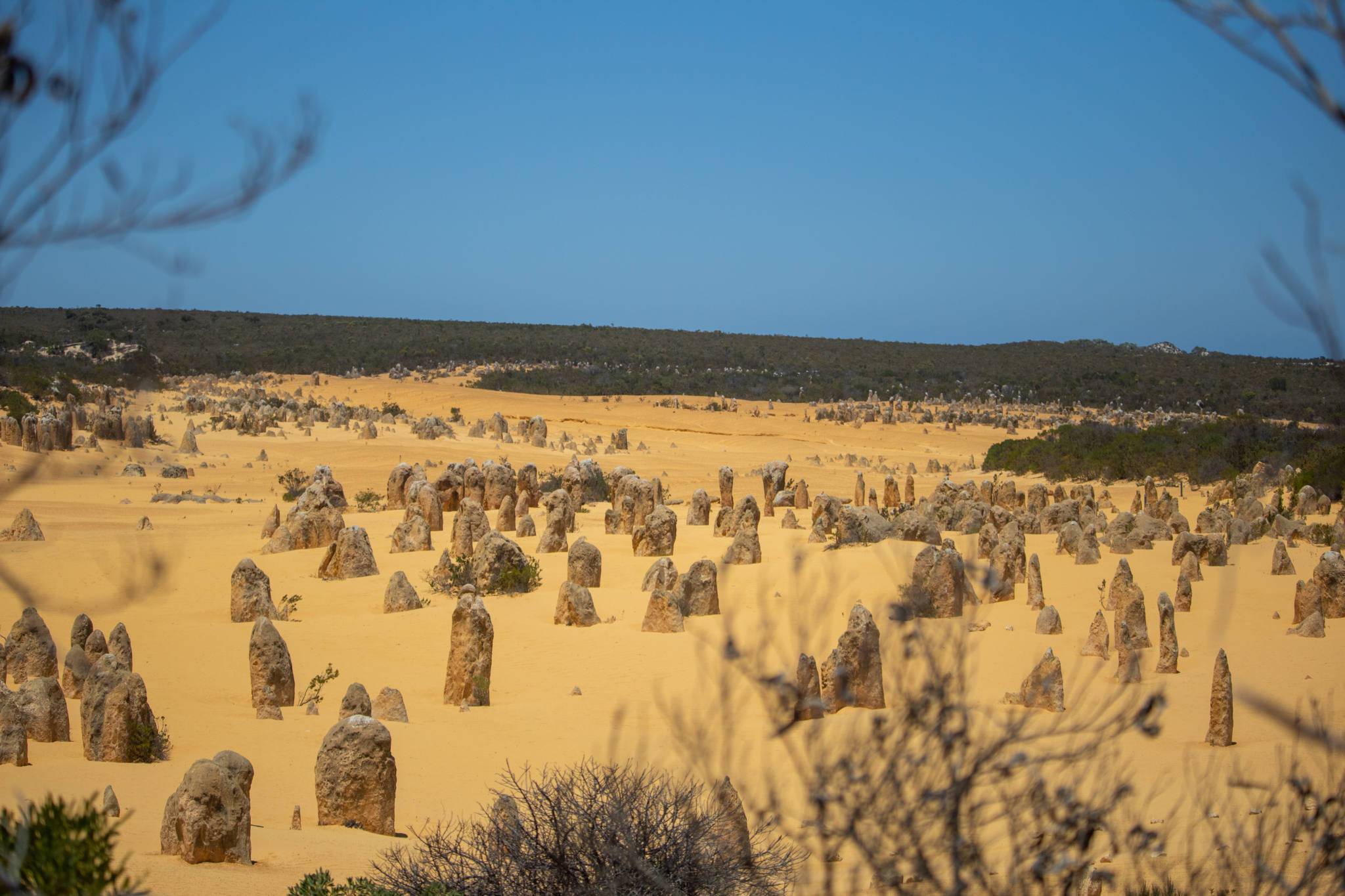 Perth Yanchep National Park Fundal
