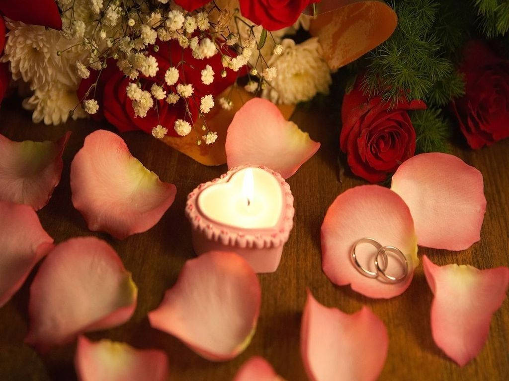Petală de Flori Fundal Valentines Desktop Fundal