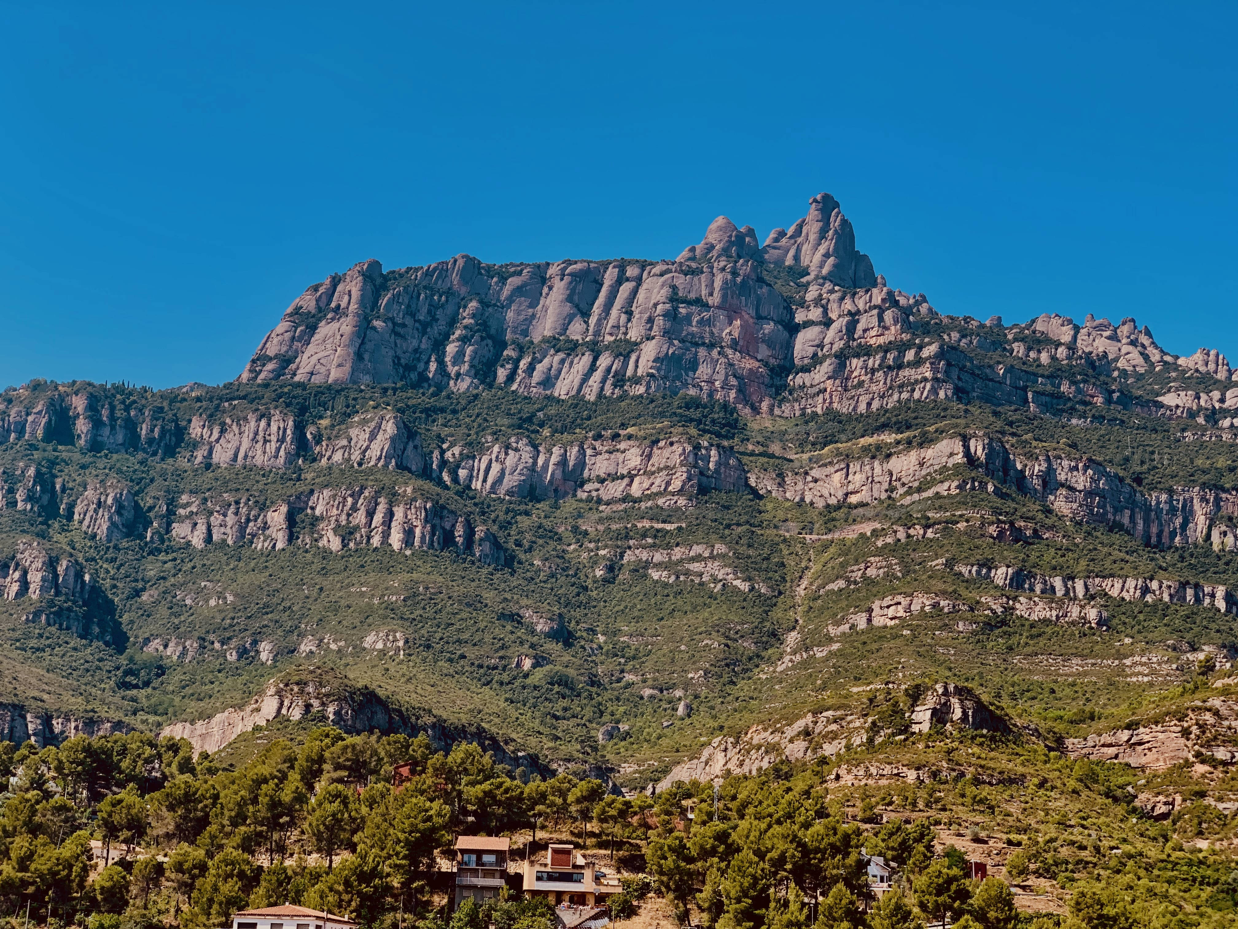 Petice mari Montserrat Fundal