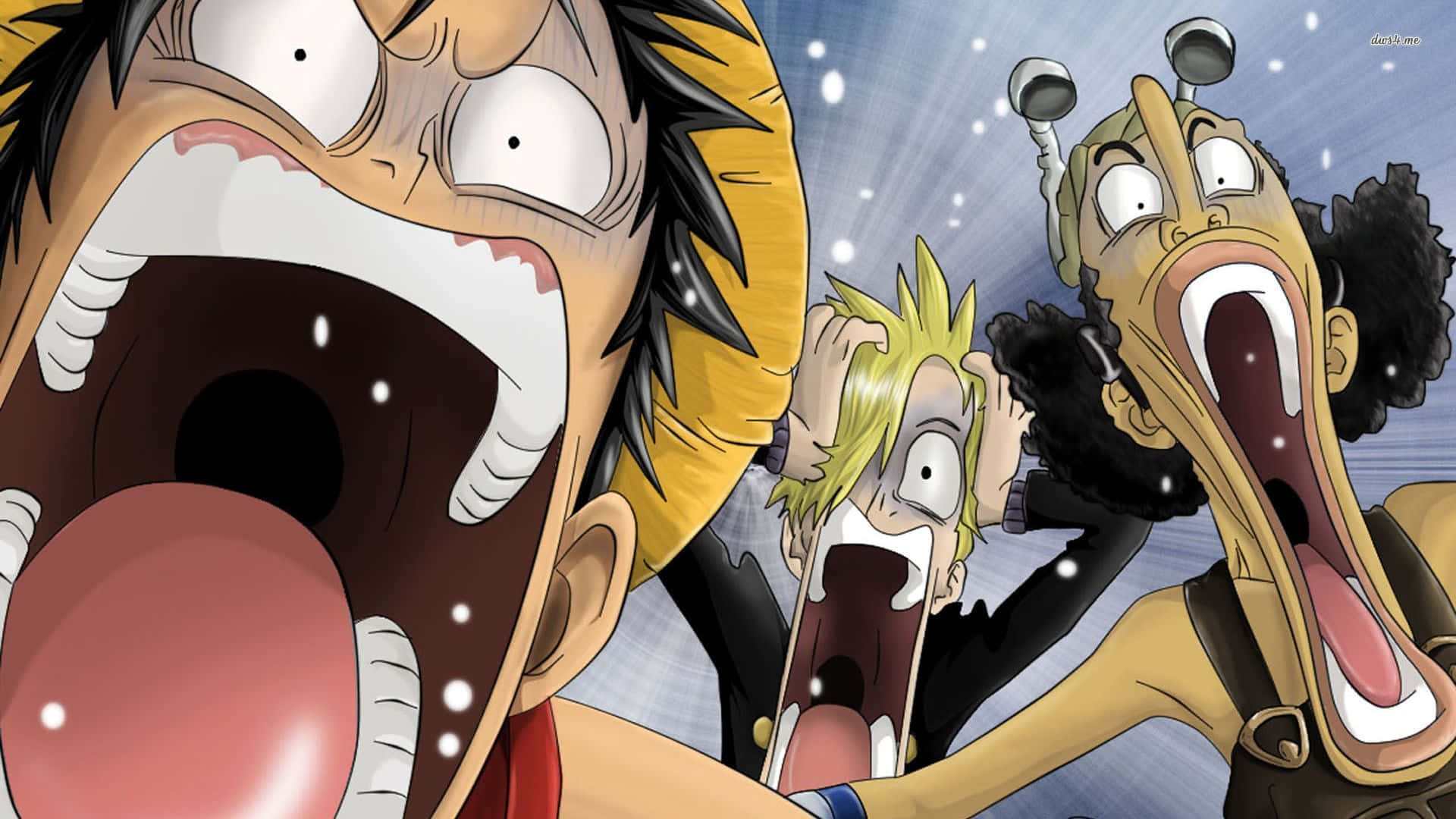 Pfp amuzant Luffy anime Fundal