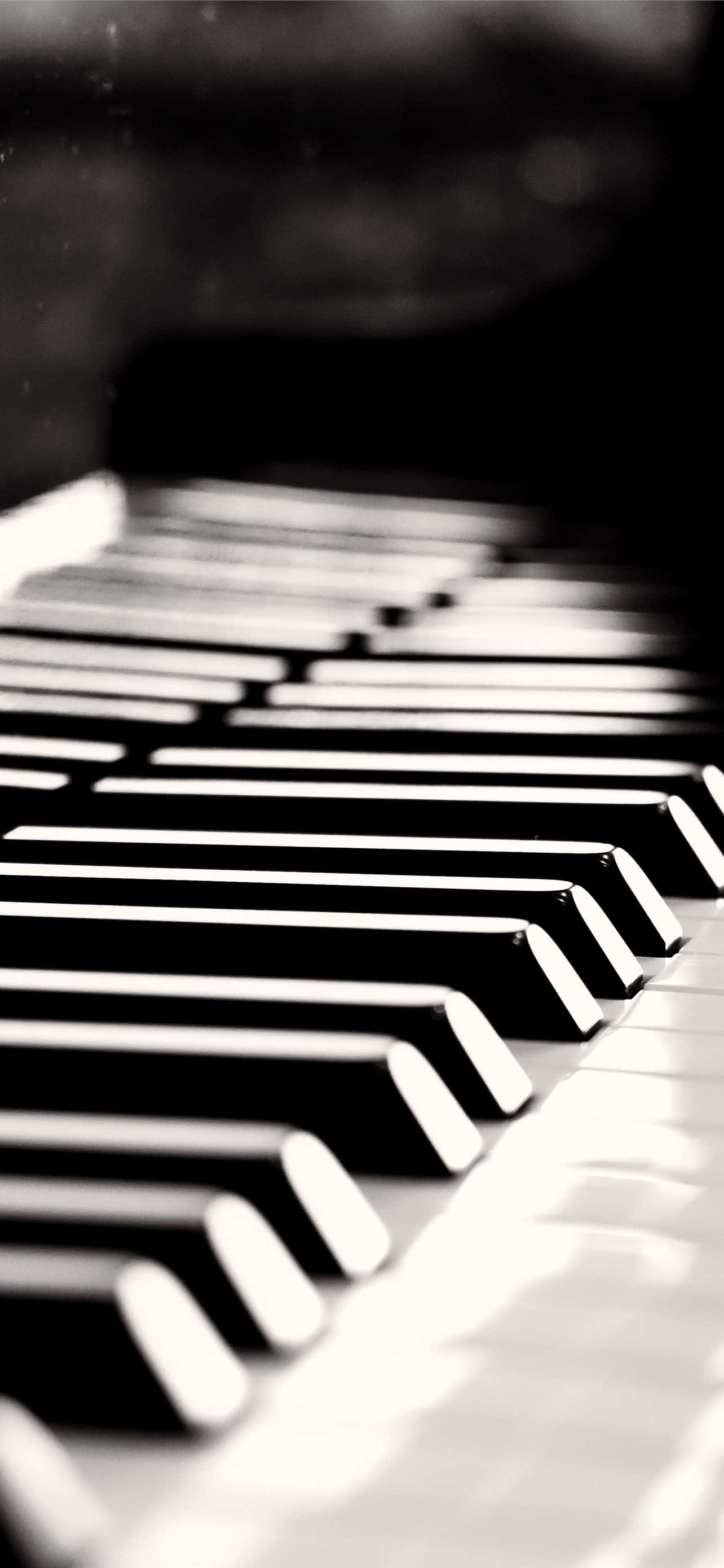 Pian Instrument Claviatura Alb Negru Imagine Fundal