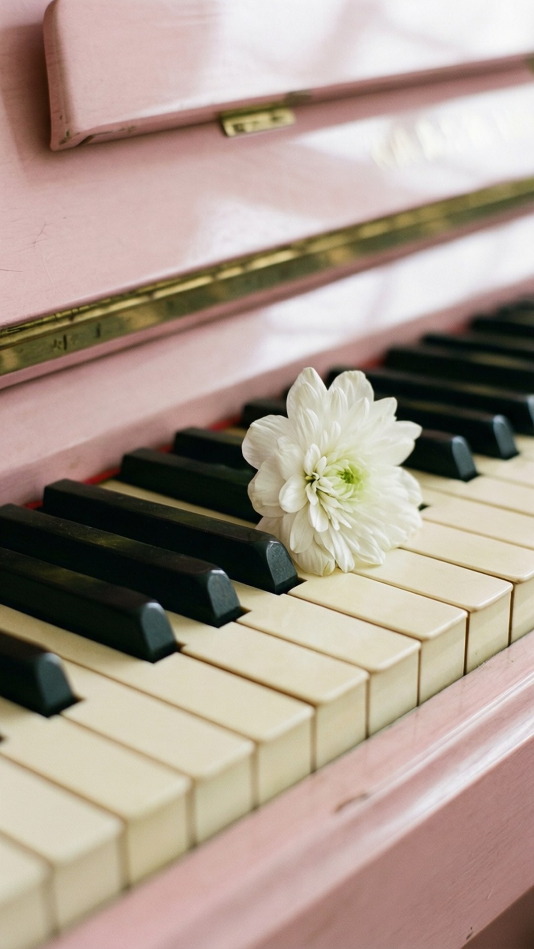 Piano și Petale Fundal