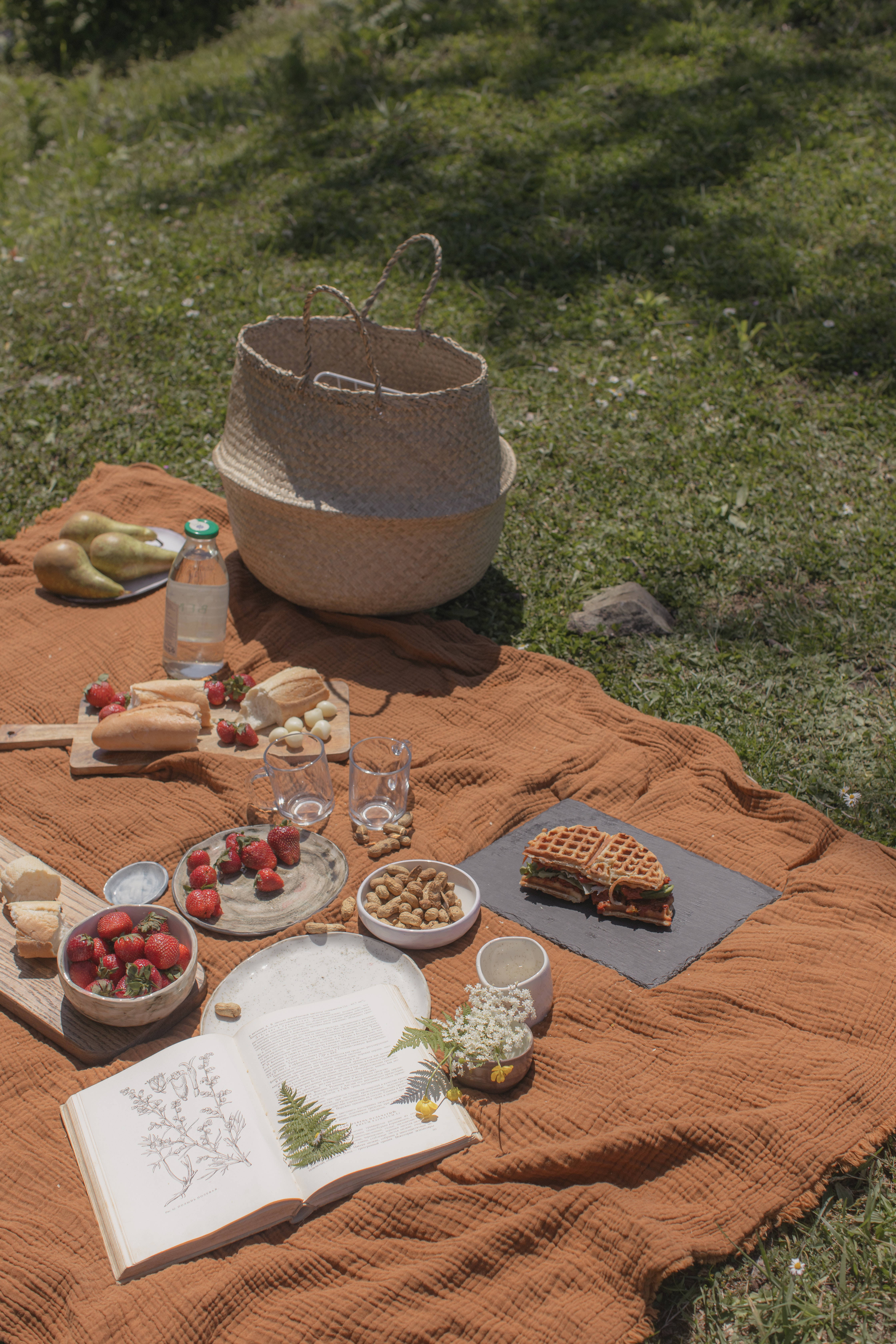 Picnic estetic preppy Fundal
