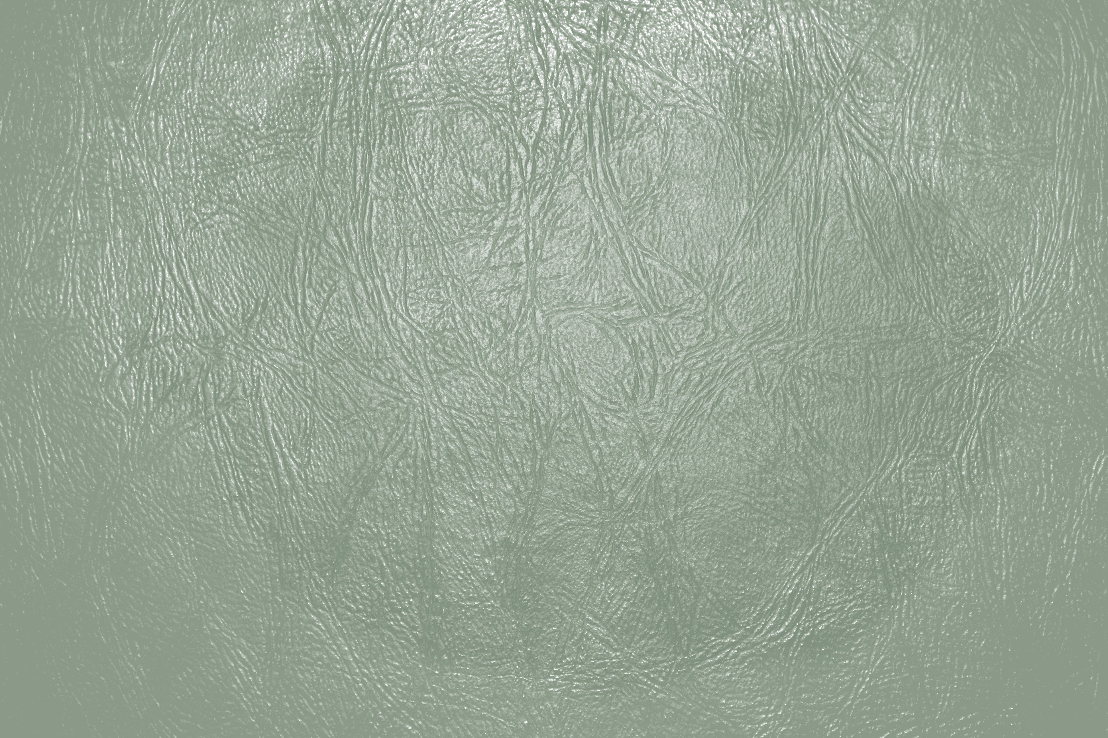 Piele Estetică Verde Salvie Fundal