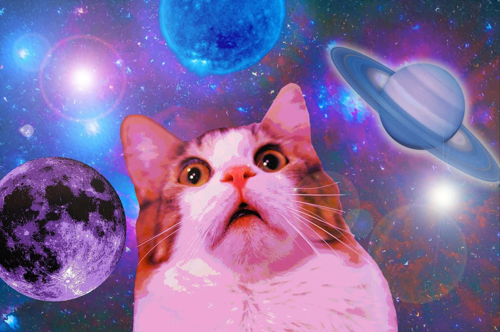 Pisică Amuzantă cu Față Șocată pe Fundal Galactic Fundal