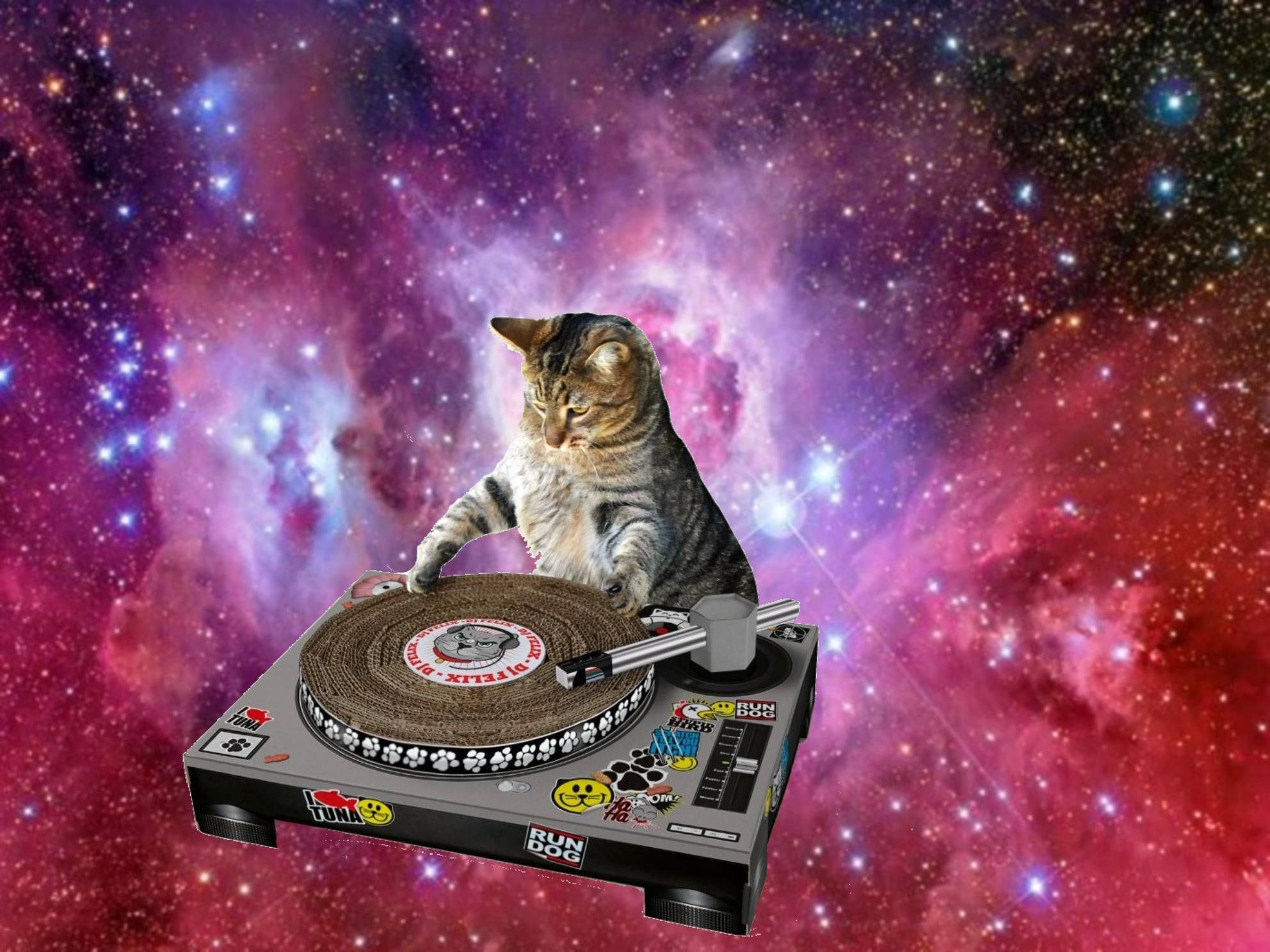 Pisică Amuzantă DJ Care Cântă în Spațiu Fundal