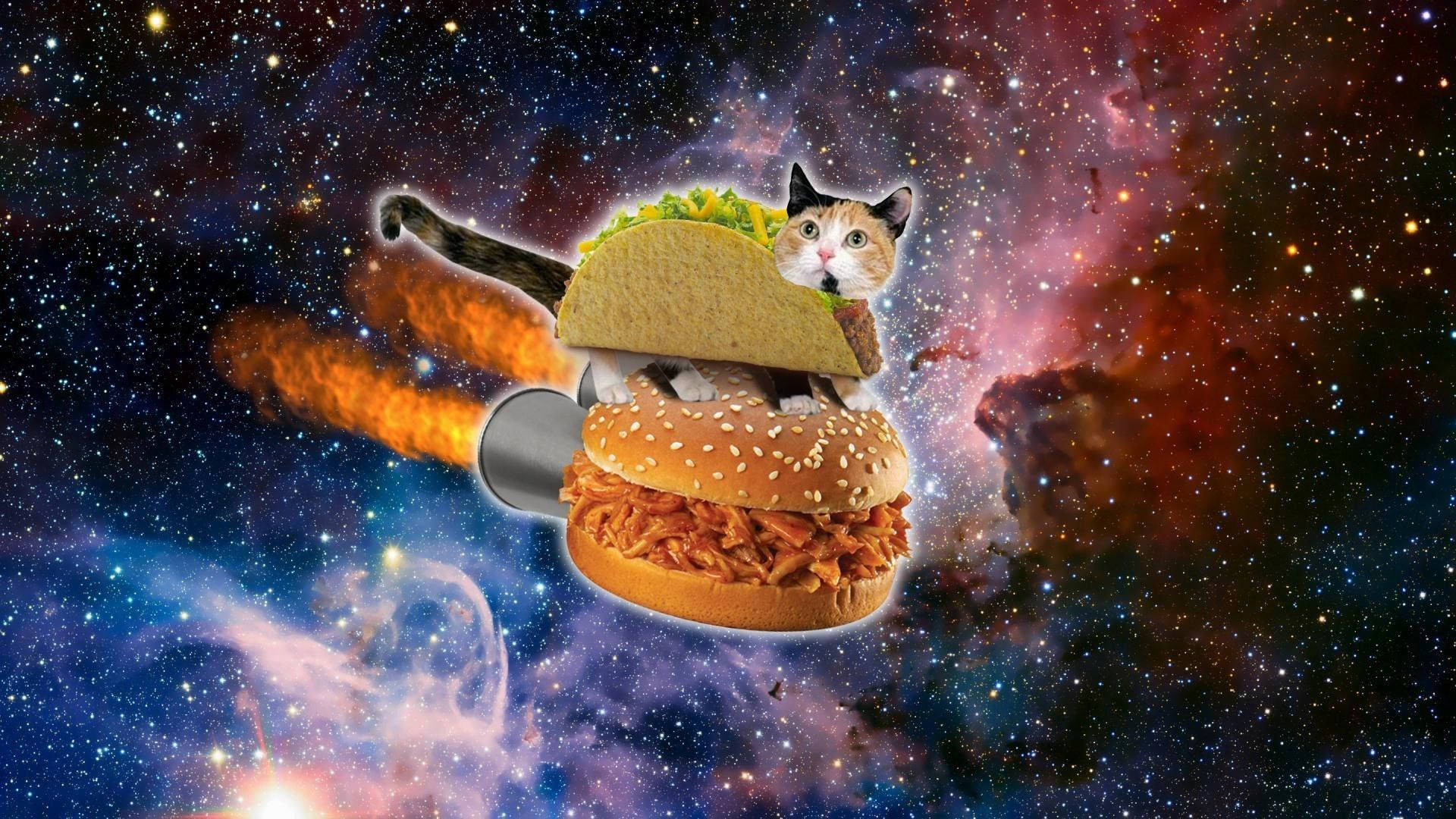 Pisică amuzantă cu costum de burger în spațiu Fundal