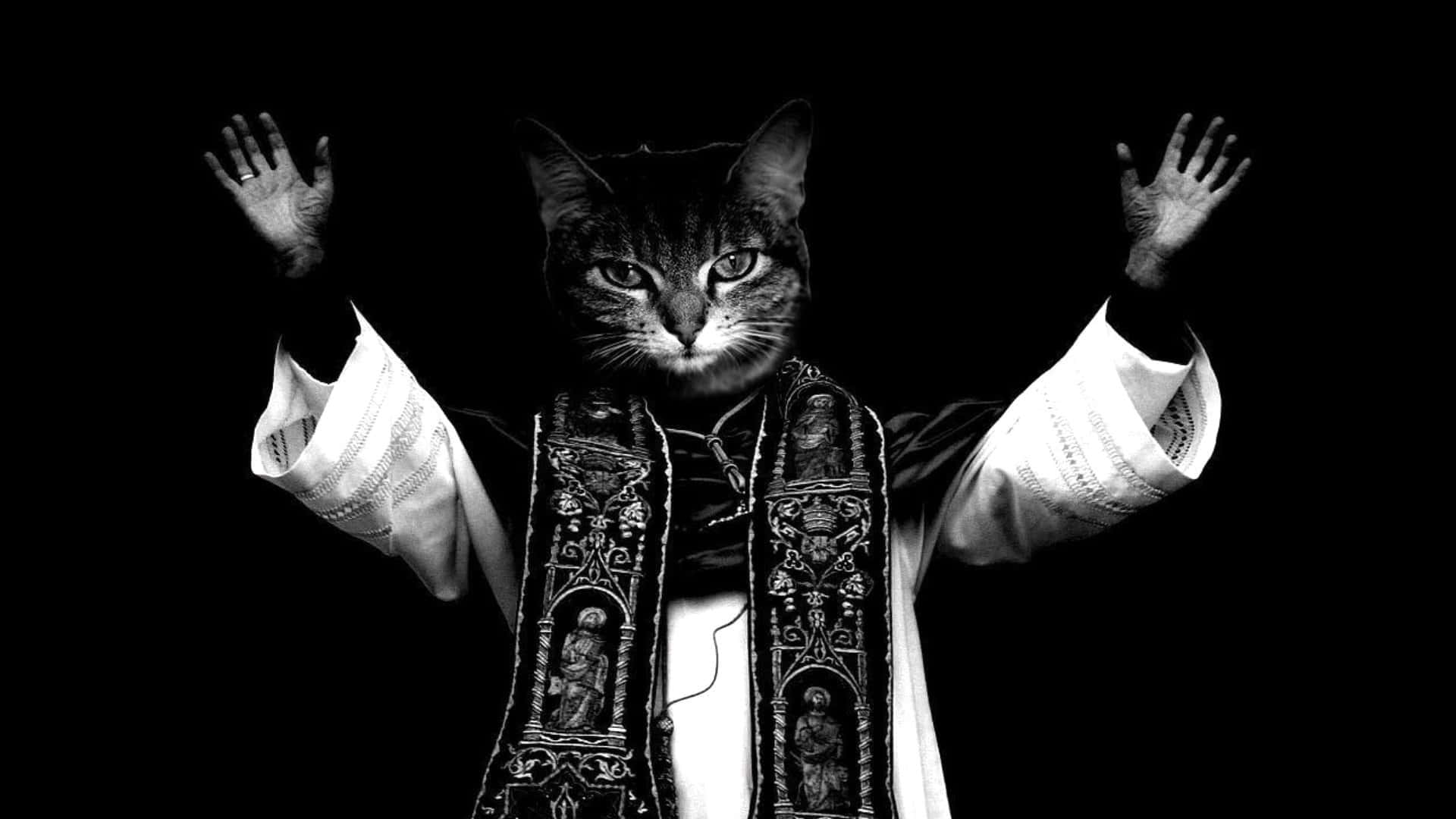 Pisică amuzantă și drăguță cu mâinile ridicate, în costum de preot Fundal