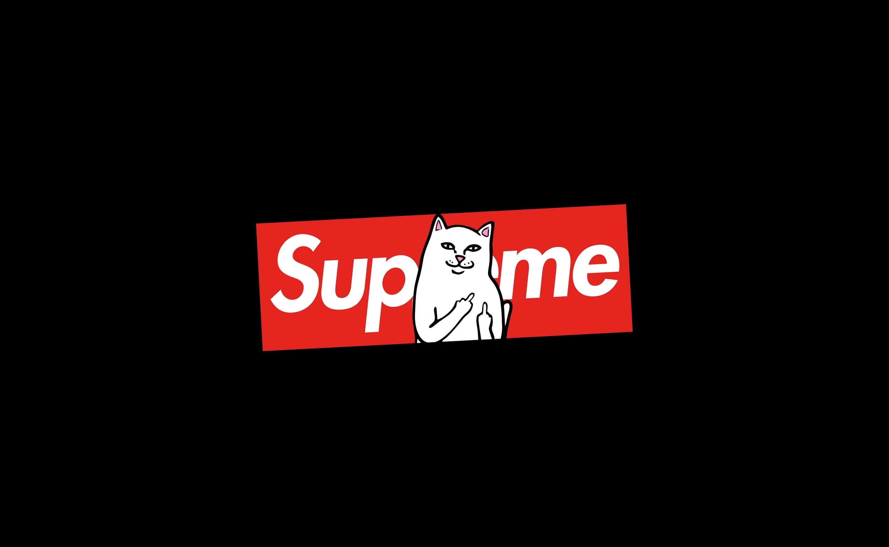 Pisică așezată pe laptop Supreme Fundal