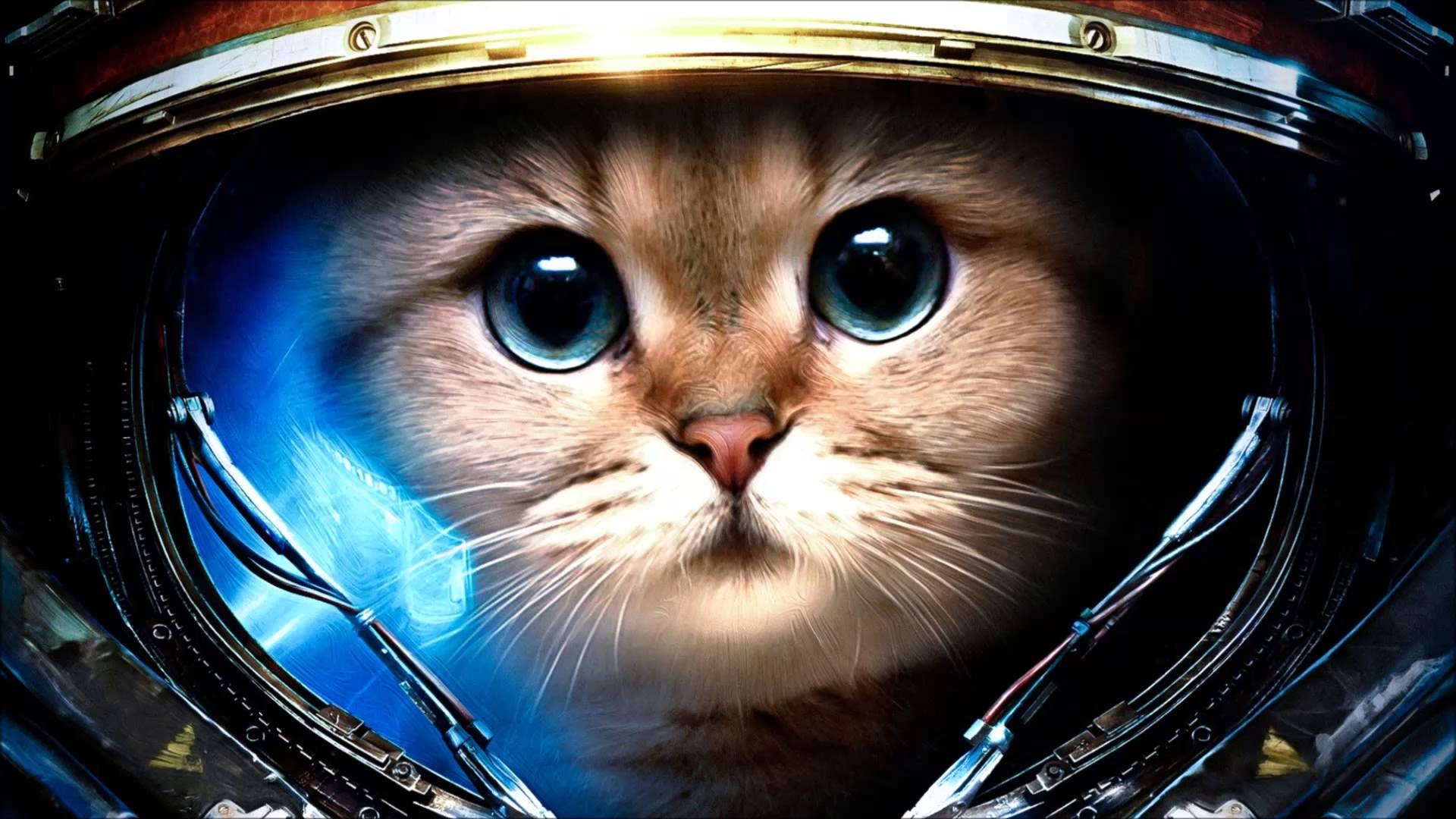 Pisică Astronaut Drăguță pe Calculator Fundal