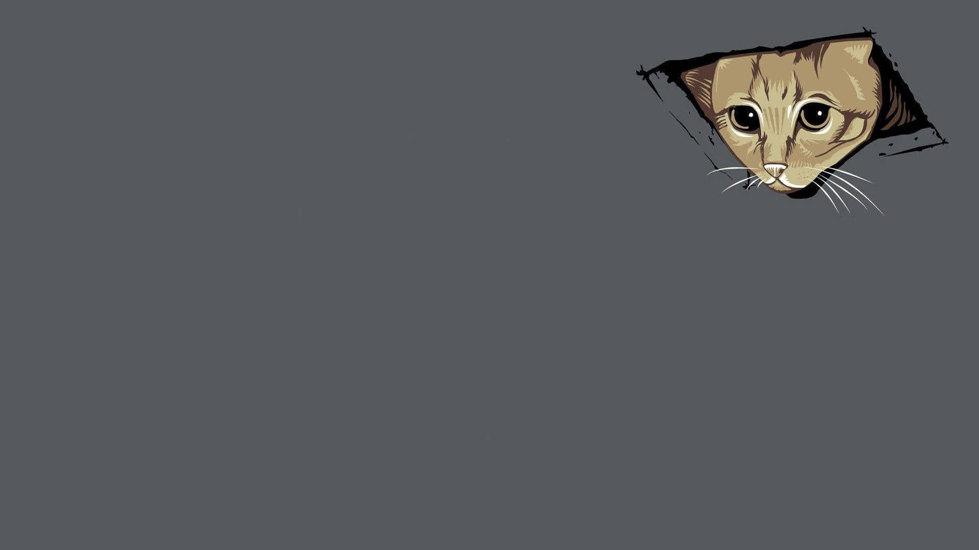Pisică care privește wallpaper laptop meme Fundal