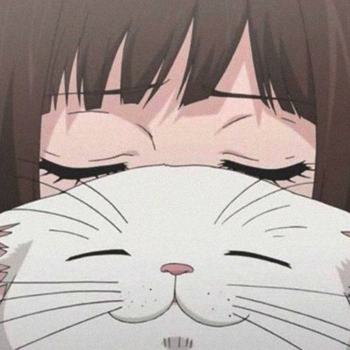 Pisică Drăguță de Profil Cu Fată Anime Fundal