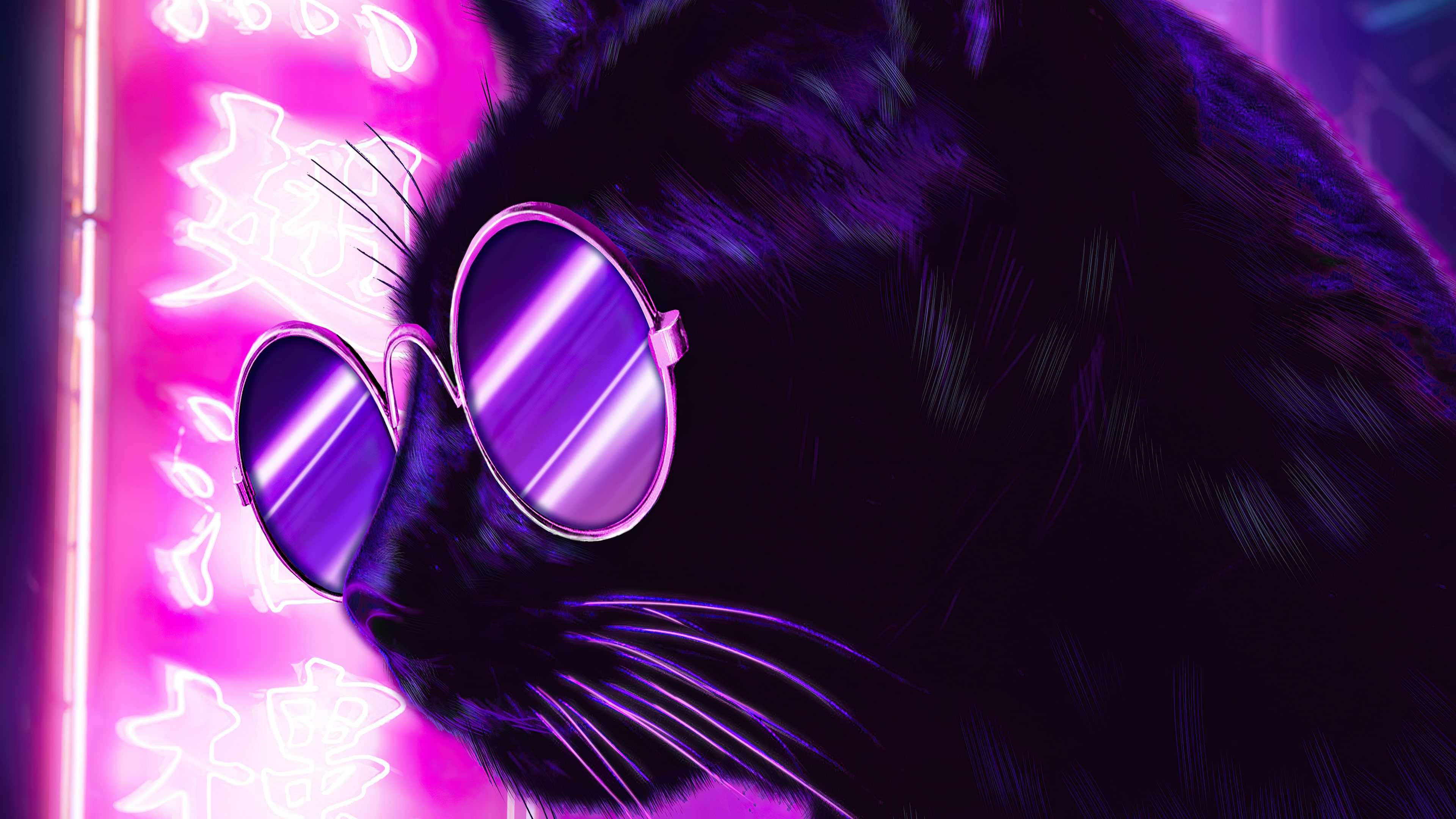 Pisică estetică violet neon cu ochelari Fundal
