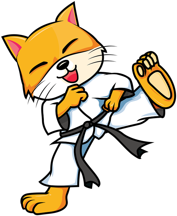 Pisică Karate Râzând.PNG Fundal