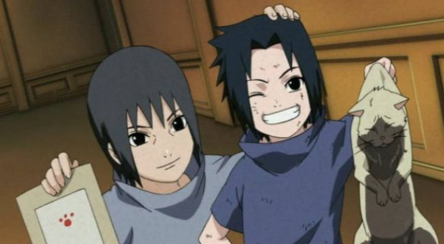Pisică Naruto Itachi Uchiha 4K Fundal
