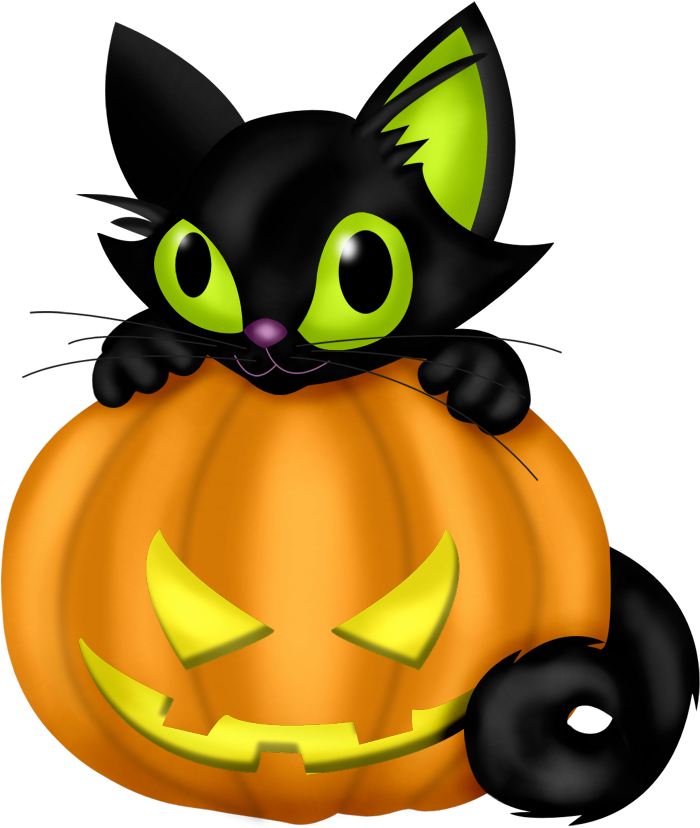 Pisică Neagră de Halloween pe Dovleac Fundal