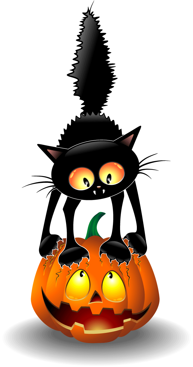 Pisică Neagră de Halloween și Jack O' Lantern Fundal