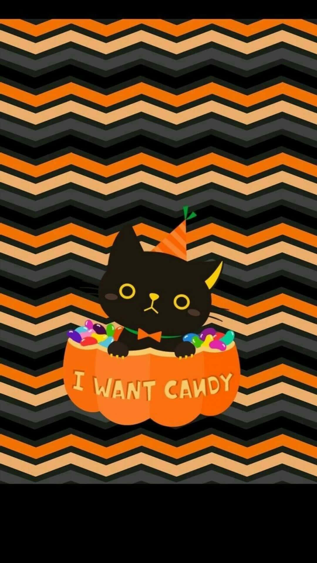 Pisică neagră drăguță estetică de Halloween într-un dovleac Fundal