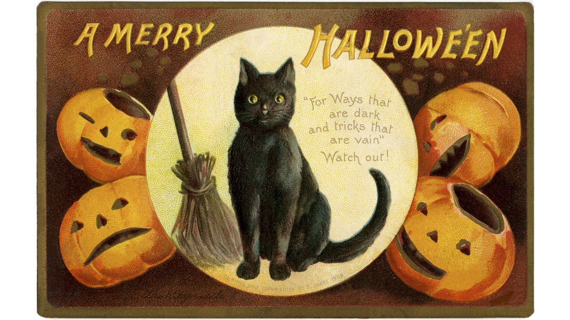 Pisica vrăjitoarei de Halloween vintage Fundal