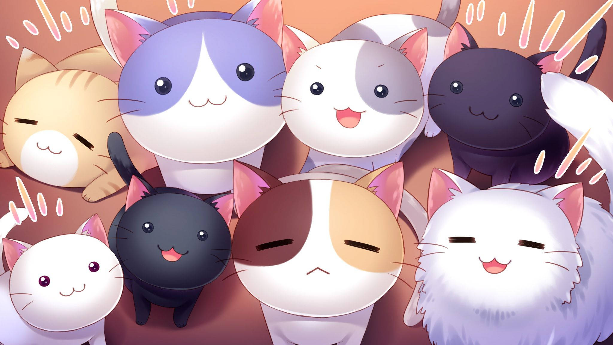 Pisici Adorabile Privind în Sus Kawaii iPad Fundal