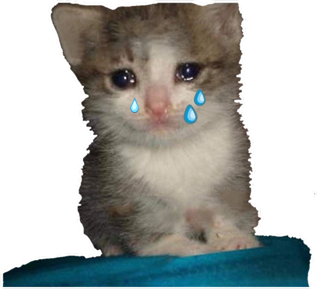 Pisoi_Plangand_Meme.PNG Fundal