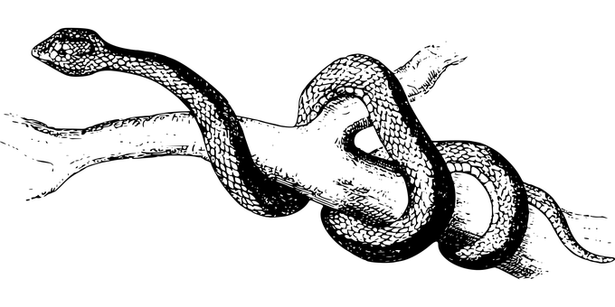 Placeholder pentru ecran negru Fundal
