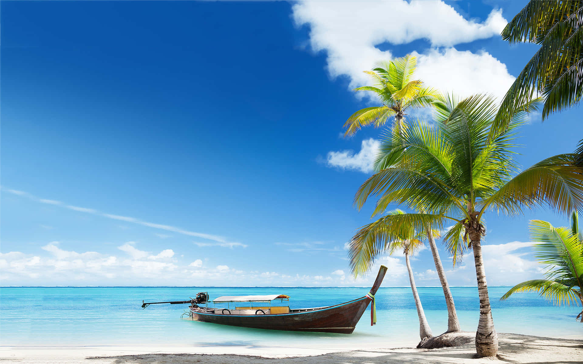 Plajă cu palmieri de cocos și barcă Fundal