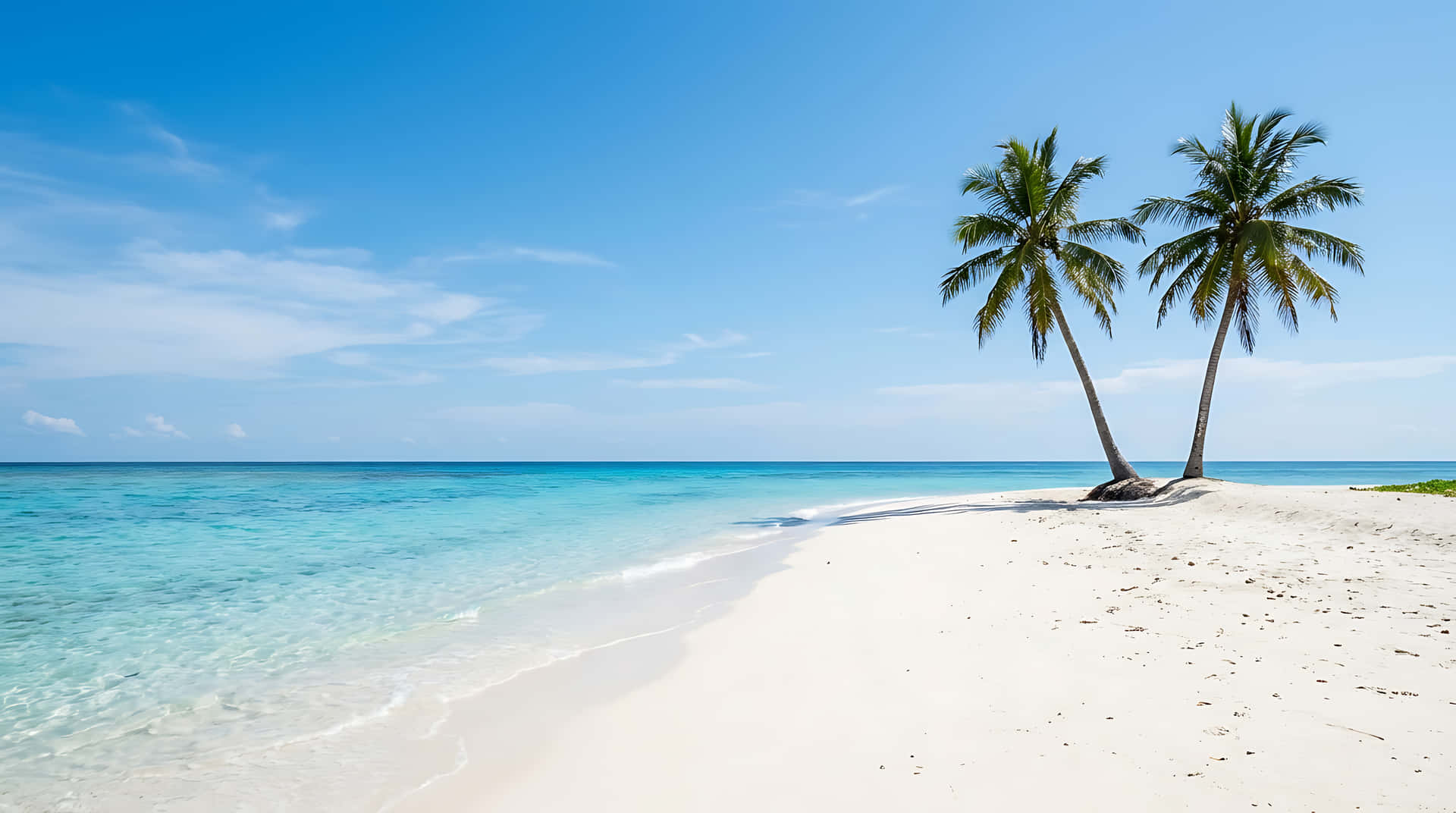 plajă, tropical, palmieri, ocean, mare, nisip alb, apă turcoaz, paradis, vacanță, călătorie, concediu, insulă, vară, exotic, țărm, coastă, cer, albastru, însorit, relaxare