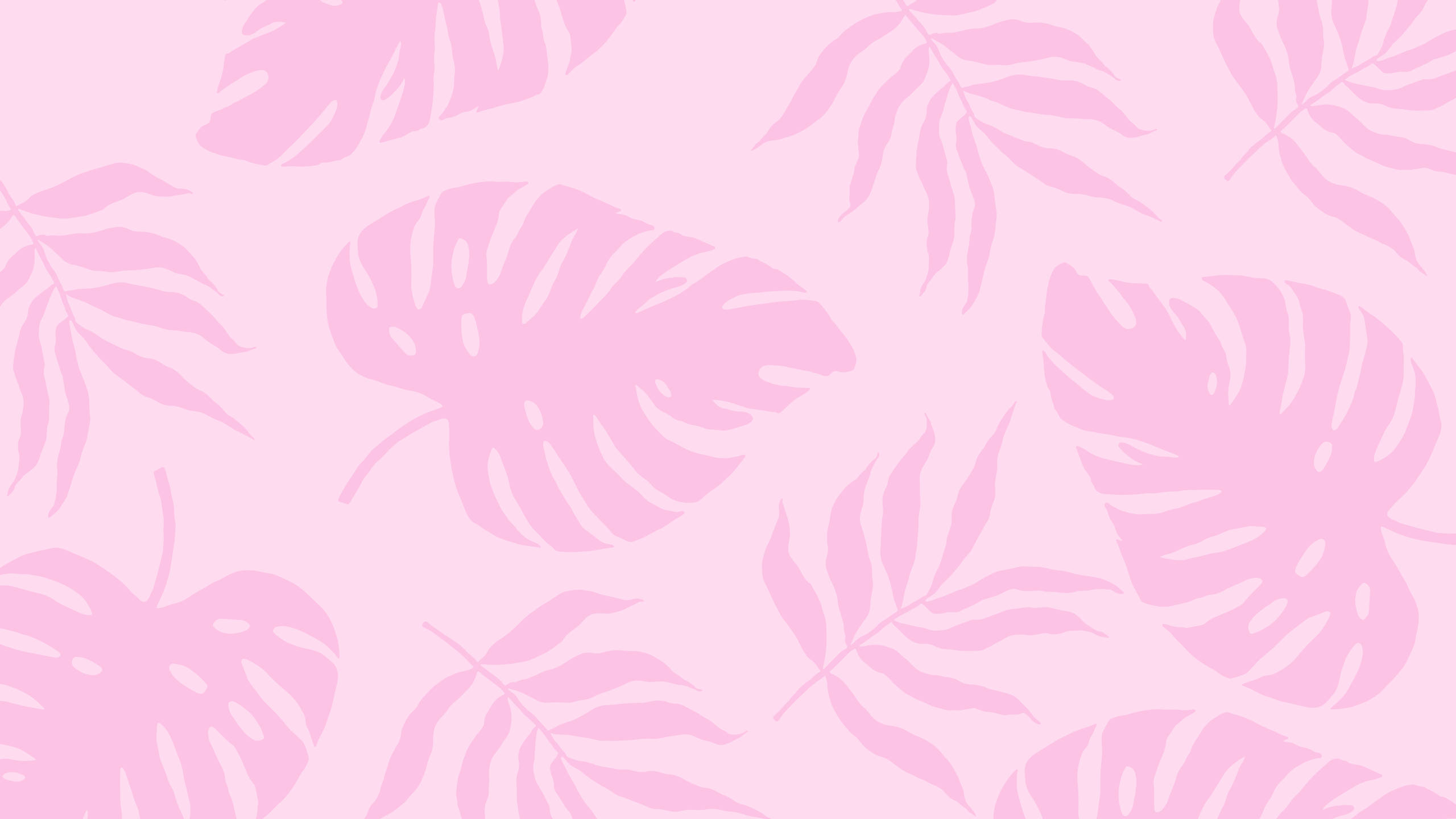 Plante de vară roz, estetică 2560x1440 Fundal