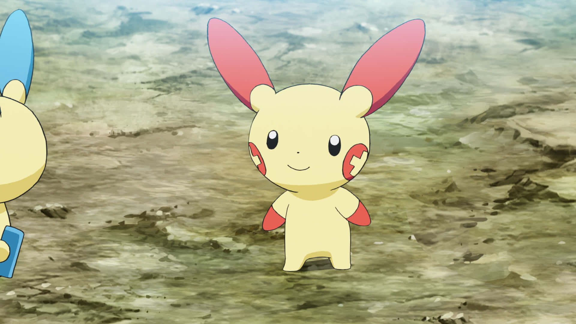 Plusle pe uscat Fundal