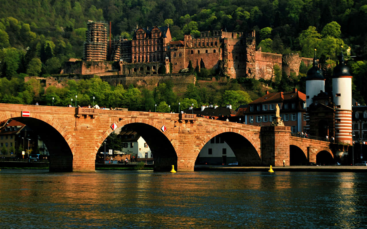 Podul Vechi și Castelul Heidelberg Fundal