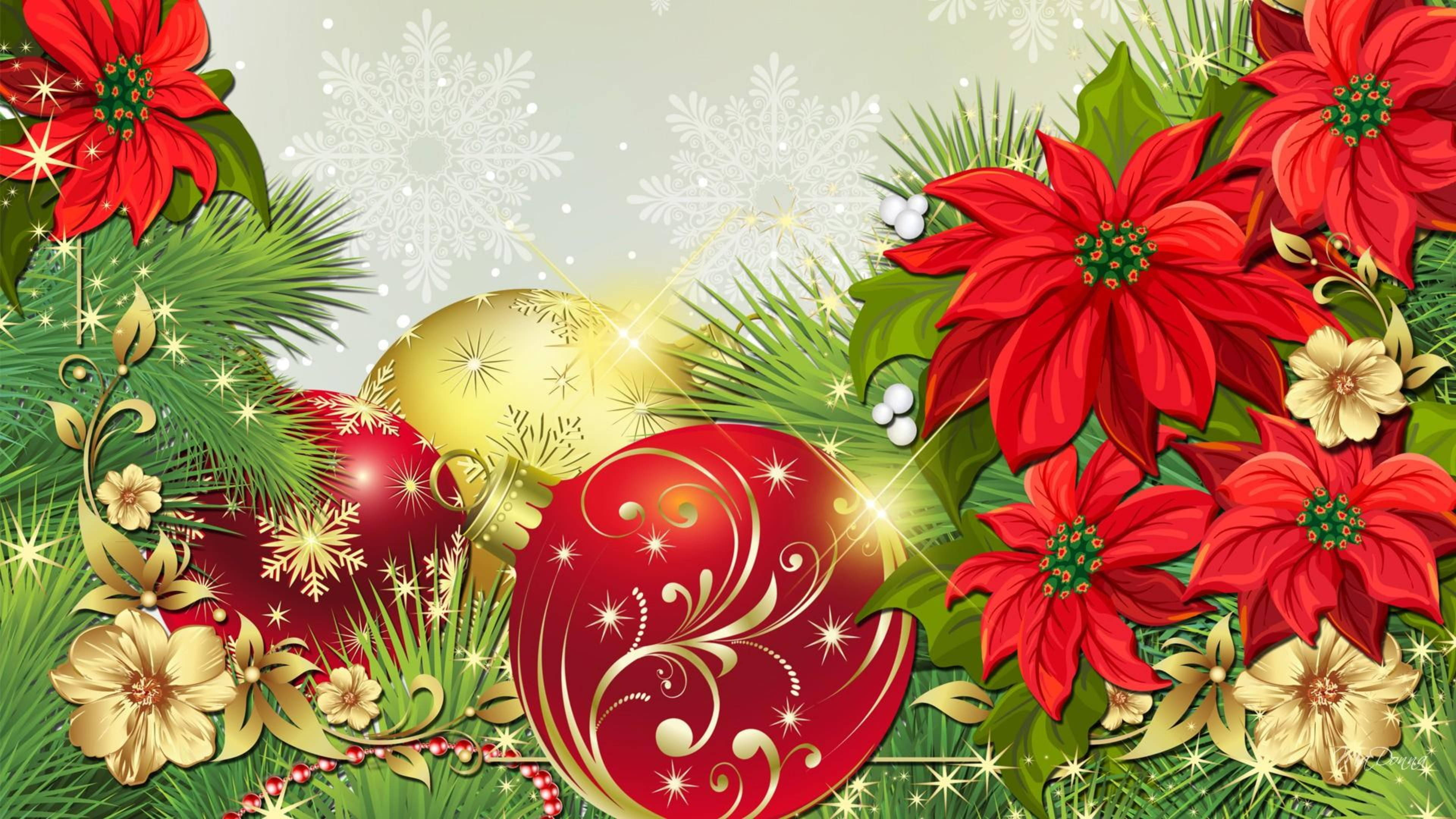 Poinsettia Animată de Crăciun Fundal