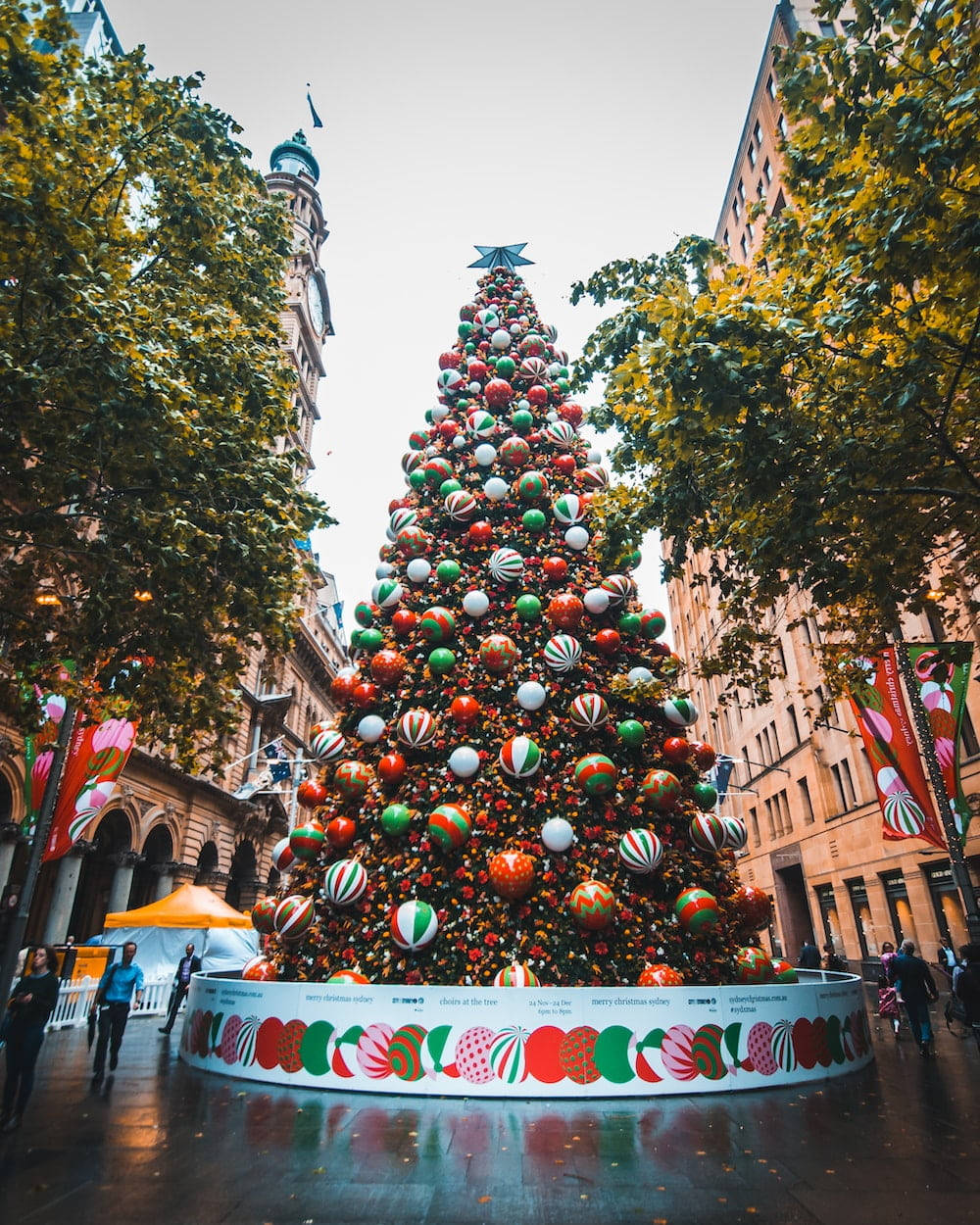 Pom de Crăciun australian colorat Fundal