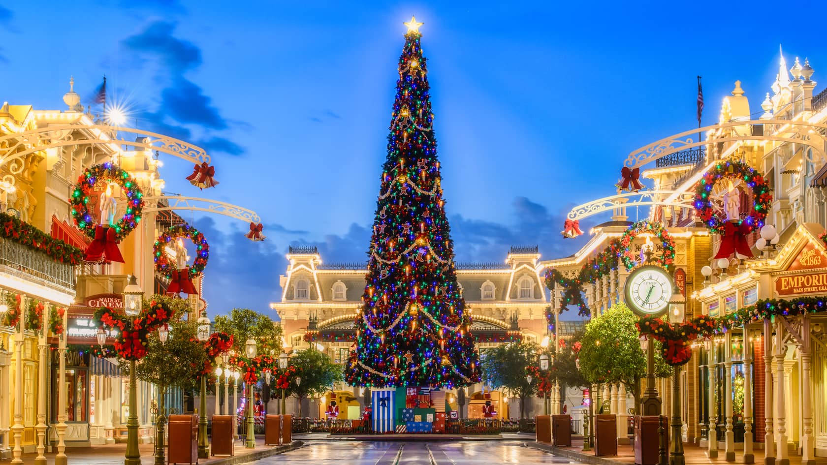 Pomul de Crăciun Disney World Fundal