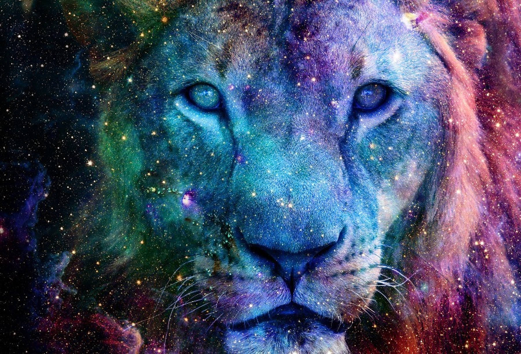 Portret cu leu galactic Fundal