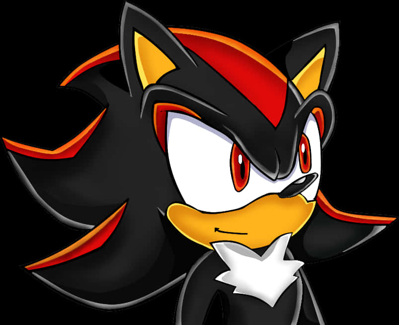 Portretul lui Shadow the Hedgehog Fundal