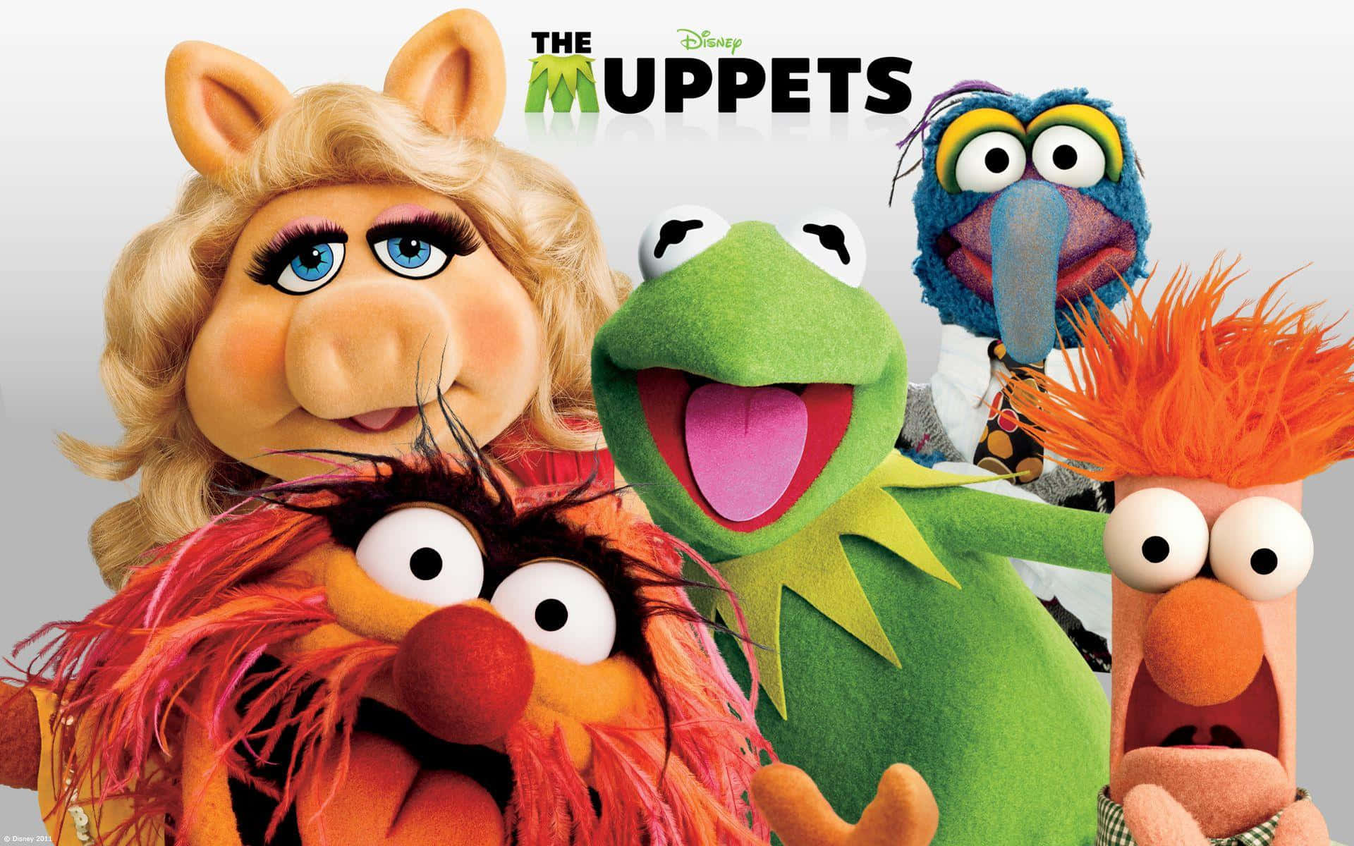 posterul filmului Muppets Fundal