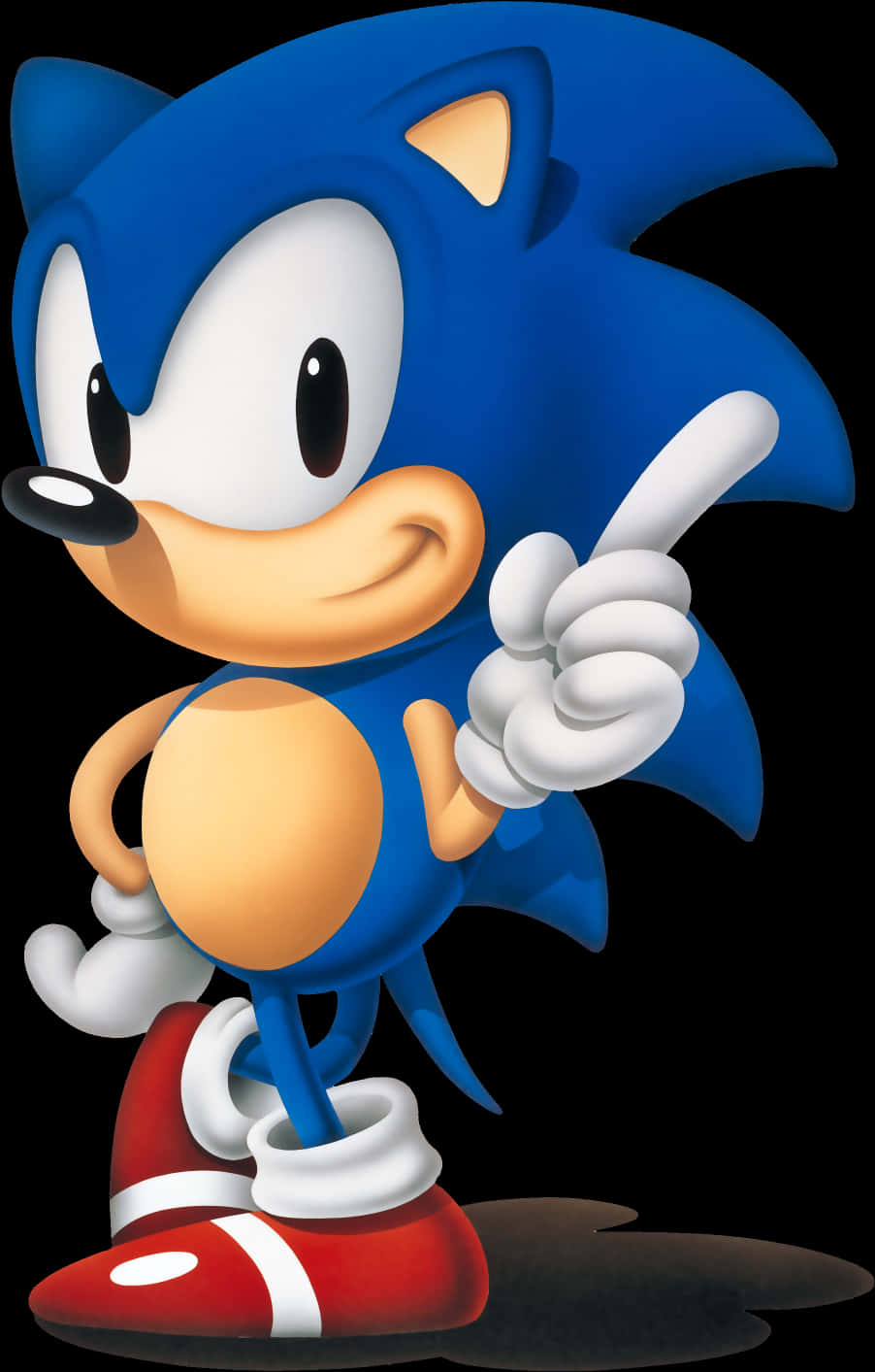 Poză clasică Sonic Fundal