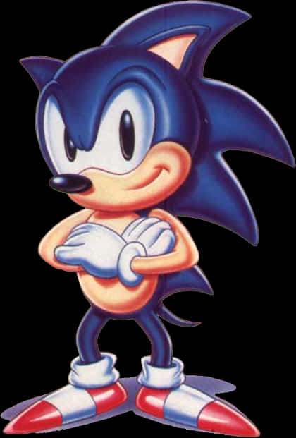 Poză Clasică Sonic Fundal