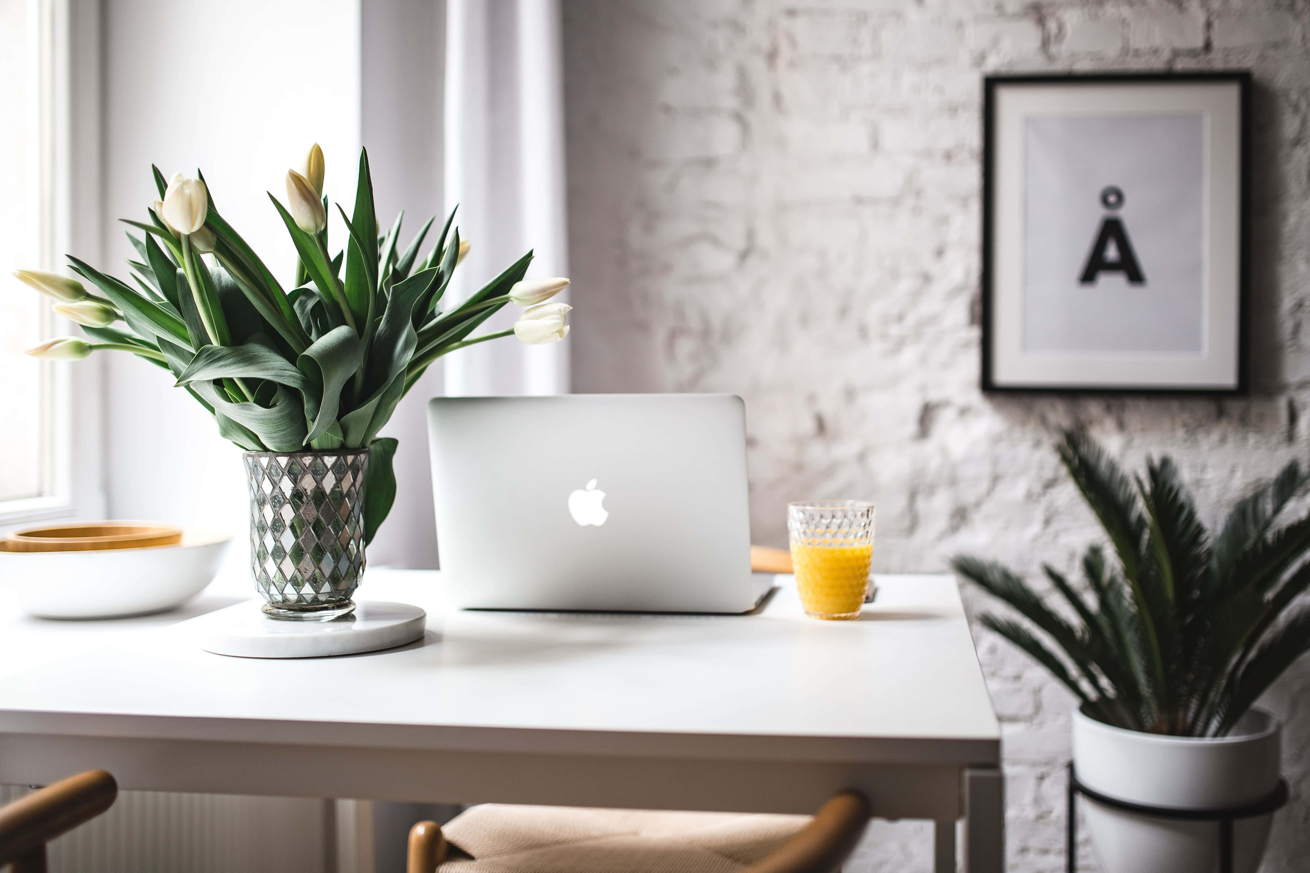 Poze estetice MacBook Fundal